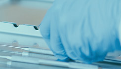 草莓视频APP色版下载中心